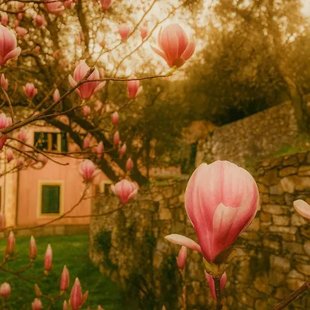 公寓 Olivari & Garden, By Alma Haven