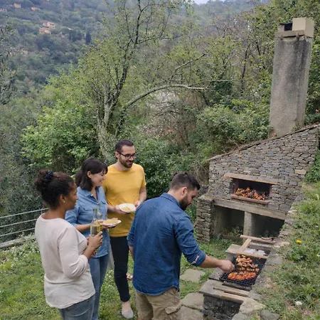 Olivari Apartments&garden Appartamento *