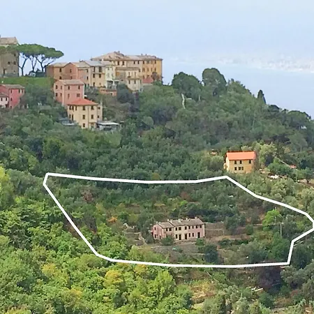 Appartamento Olivari Apartments&garden San Rocco (Genoa)