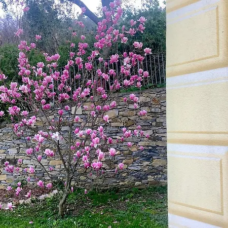 Olivari Apartments&garden Appartamento