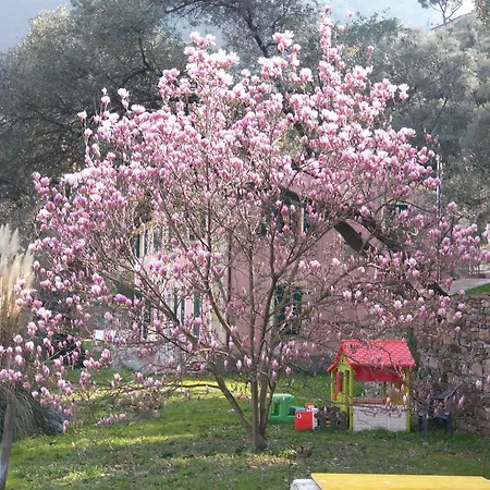 Olivari Apartments&garden Appartamento San Rocco (Genoa)
