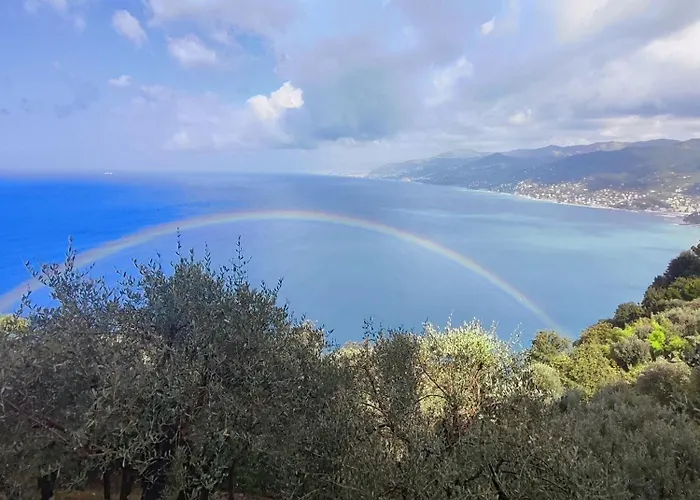 Olivari Portofino Garden - Alma Slow Living Appartamento